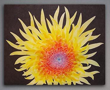 Colored pencil drawing of giant chrysanthemum
